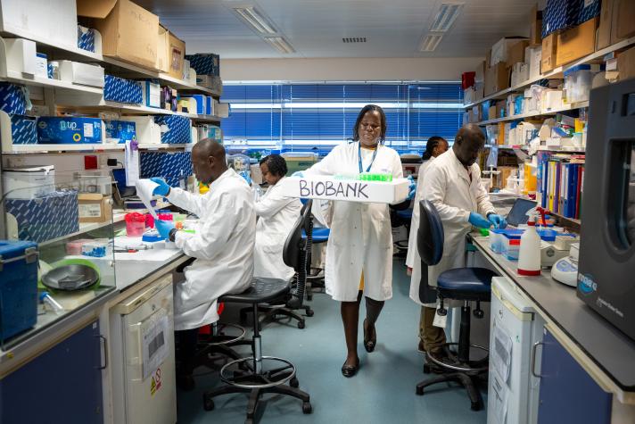 4 Scientists conducting blood sample tests