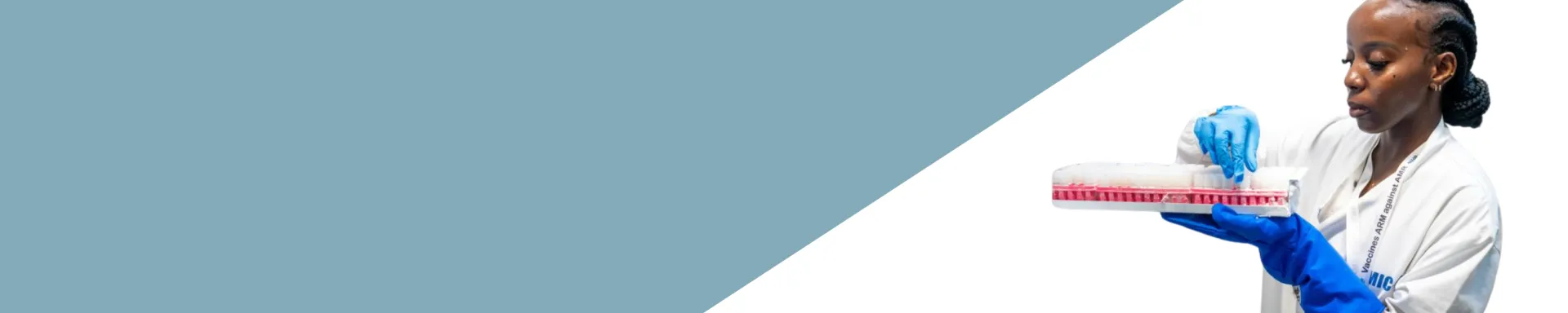 New projects in antimalarial drugs 2026 header