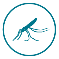 Malaria icon