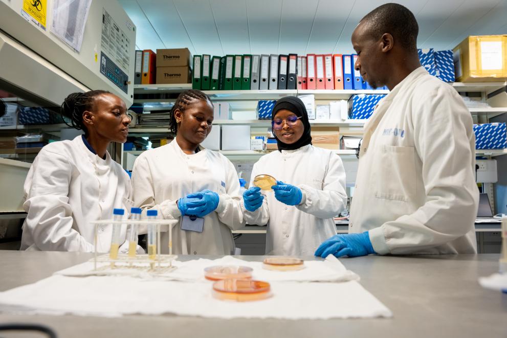 4 scientists examining agar plate results