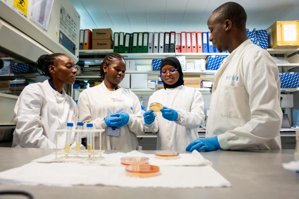 4 scientists examining agar plate results