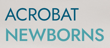 Global Health EDCTP3-funded ACROBAT Newborns project logo